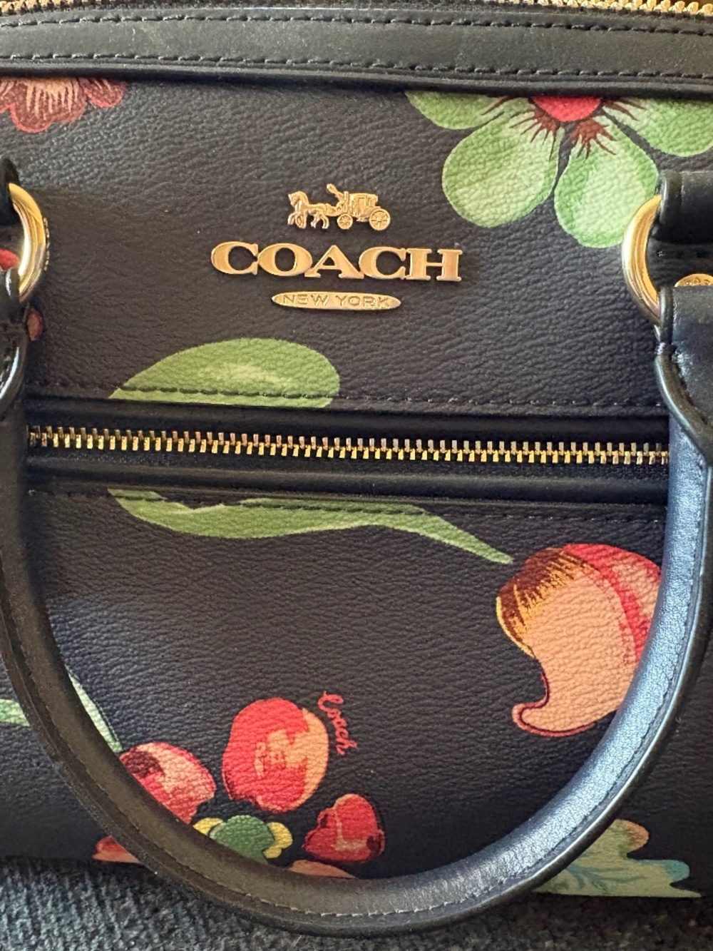 Coach Bag and Wallet
